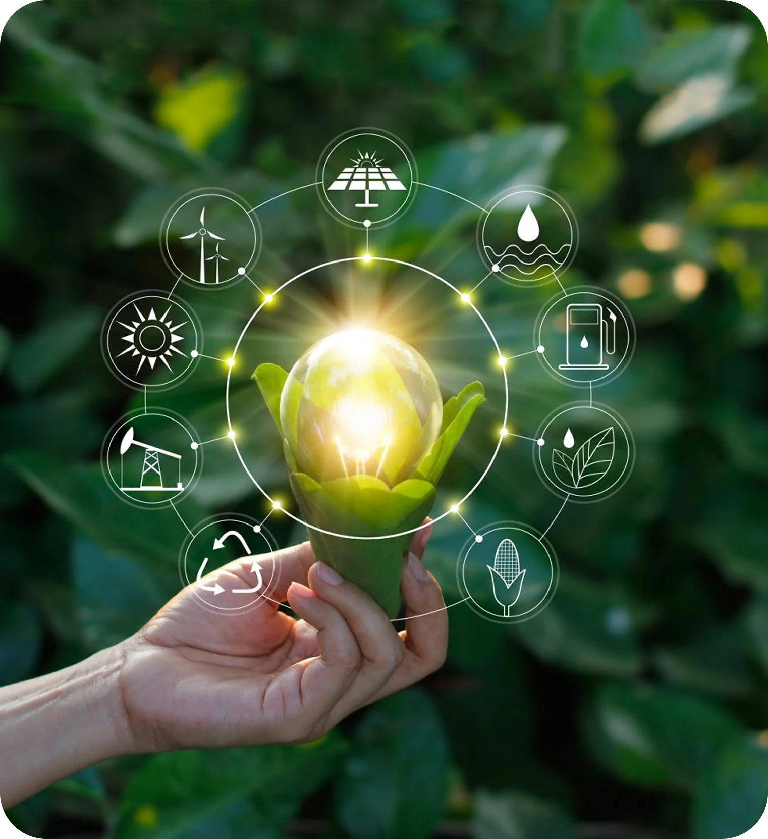 EcoLuxia Sustainability